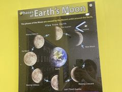 -神奇科学家STEAM科学实验科创赛事机器人编程逻辑思维MadScience(长宁来福士校区)