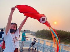 -大兴滨河森林公园