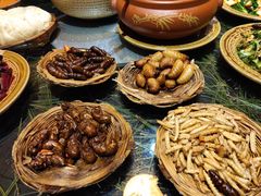 -昆虫窝子·特色云南菜(拓东路总店)