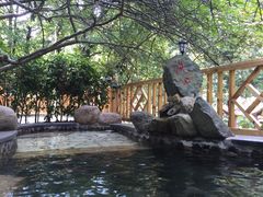 飘雪温泉-黄山温泉国际旅游度假区