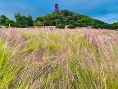 -红花山公园
