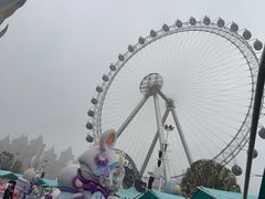 -海合安武汉极地海洋公园
