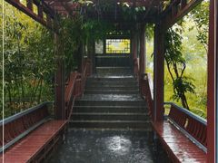 -北坞公园