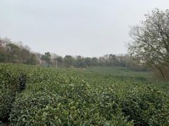 -南京市江宁方山