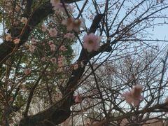 -无锡梅园公园