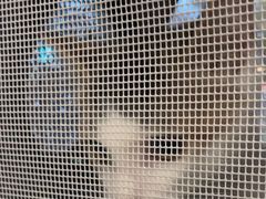 -艾贝尔宠物医院 ·中兽医·宠保定点(北门桥店)