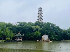 -江心屿景区