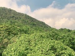 -峨眉山风景名胜区