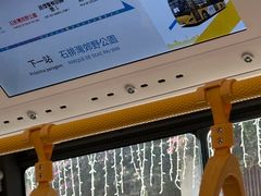 -石排湾郊野公园