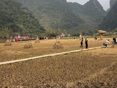 -靖西鹅泉风景区