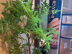 -沼津港精致料理·寿喜烧·烧鸟(漕河泾印象城店)