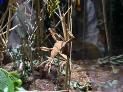 -上海海洋水族馆