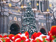 -王府井天主教堂