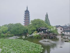 -常熟方塔园