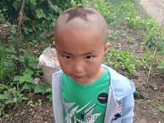 -淮扬韵(市政府汉神店)