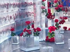 -万达广场(龙湖店)