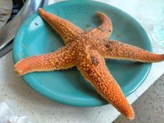 -九寸花汀烤肉海鲜自助(宽城万达店)