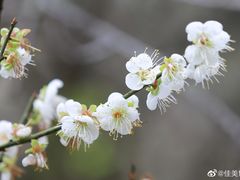 -福建天门山