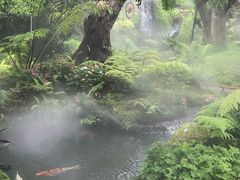 -Chom Cafe and Restaurant