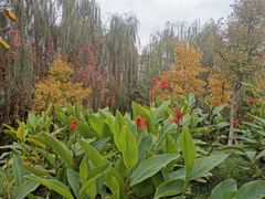 -西安汉城湖景区