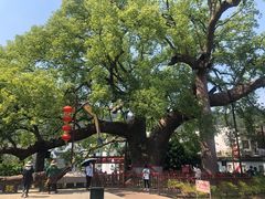 -新安江山水画廊风景区