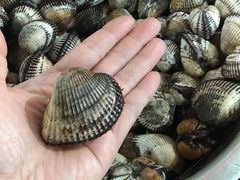 -姐妹炖罐店(桂香街总店)