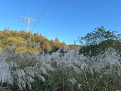 -小格里自然风景区
