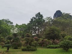 -南宁花花大世界景区