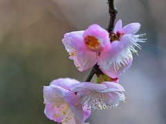 -静安雕塑公园