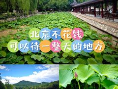 -北宫国家森林公园