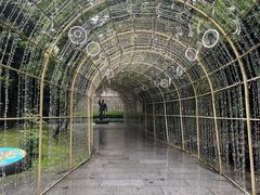 -星巴克(西湖天地店)