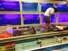 水产区-宜宾海鲜酒家·三十年老字号