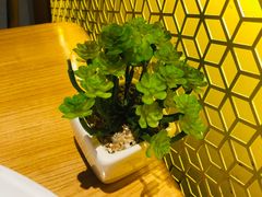 -菲滋意式餐厅(温岭银泰城店)