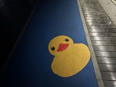 -深圳人才公园