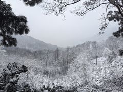 -波尔登森林公园