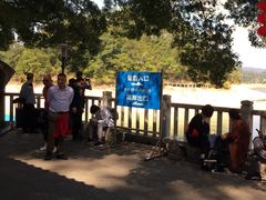 -广州市流溪河国家森林公园