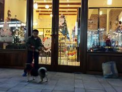 -Oh My Dog宠物沙龙(伊珊娜皮毛护理店)