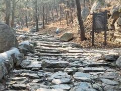 -阳台山自然风景区