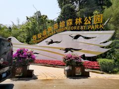 -西双版纳原始森林公园