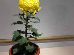 -汇龙潭
