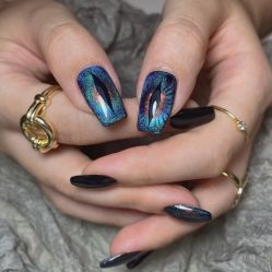-BELLAREAL新美社