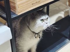 -Oasis绿洲银饰珍珠手作diy(壹方城店)