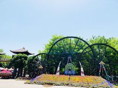 -呀路古热带植物园
