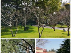 -上海虹桥迎宾馆