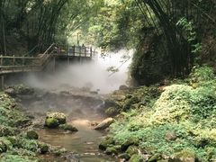-川西竹海景区