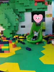 -恐龙探索乐园(磁器口店)