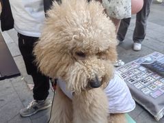 -大悦城(沈阳中街店)