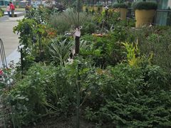 -上海浦东嘉里大酒店