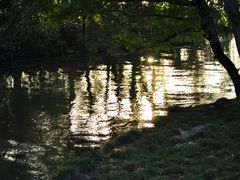 -柳莺湖上·湖景餐厅·江南菜(西湖店)