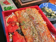 自制活鳗鱼盖饭-鳗鱼家·深夜食堂(军博店)